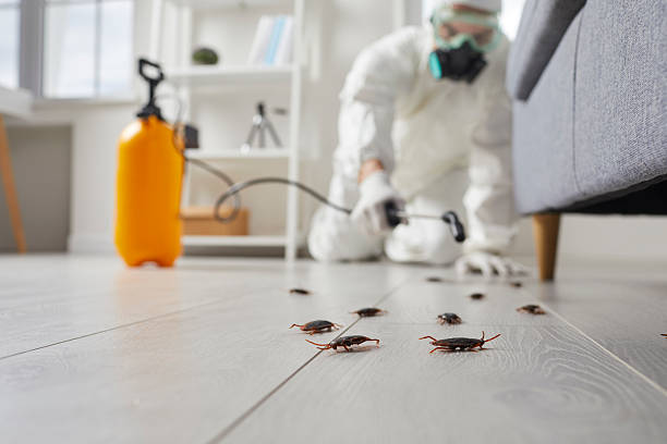 Post-Treatment Bed Bug Interceptor Monitoring in Piperton