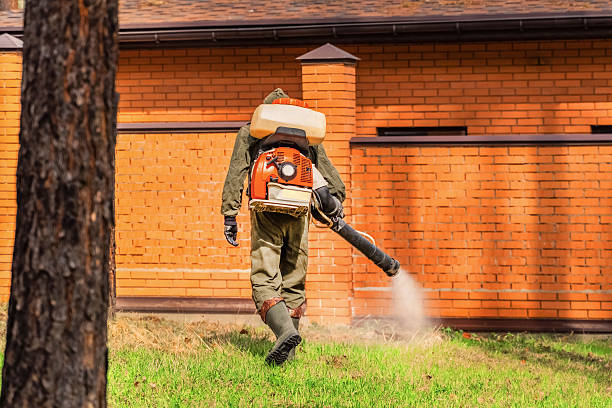 Bed Bug Clearance Verification and Documentation in Piperton